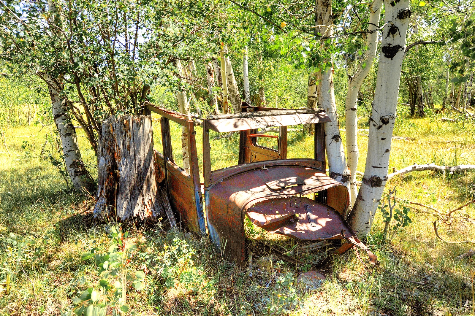 Shell at the Swett Ranch 32